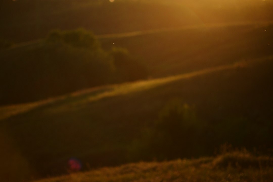 cinematic film still with warm tones